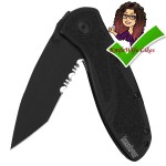 Bladefellow, Kershaw Blur 1670tblkst, folding knife, EDC, blade, tanto, spring